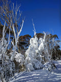 Test 4B: Winter in Colours - test case 3.A
