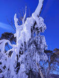 Test 4B: Winter in Colours - test case 3.A
